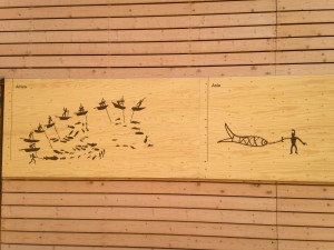 IMG_8281
