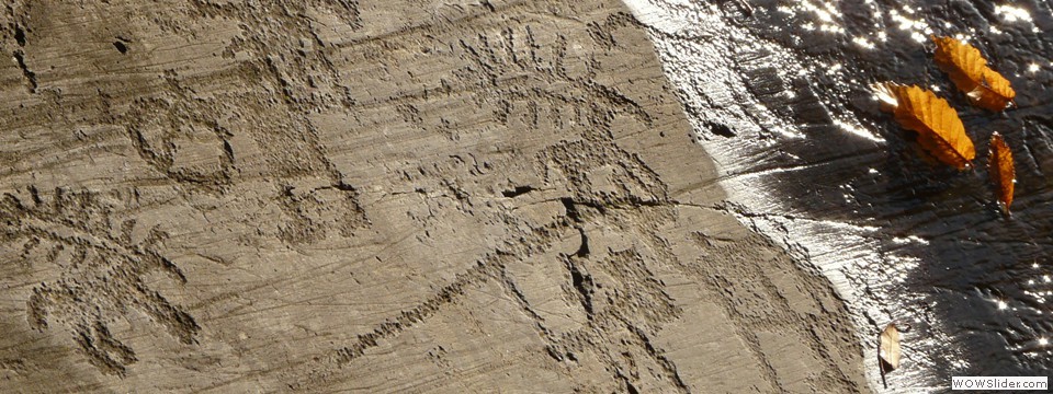 in_vall