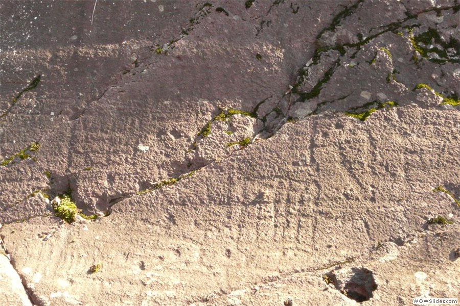 Luine, r. 57