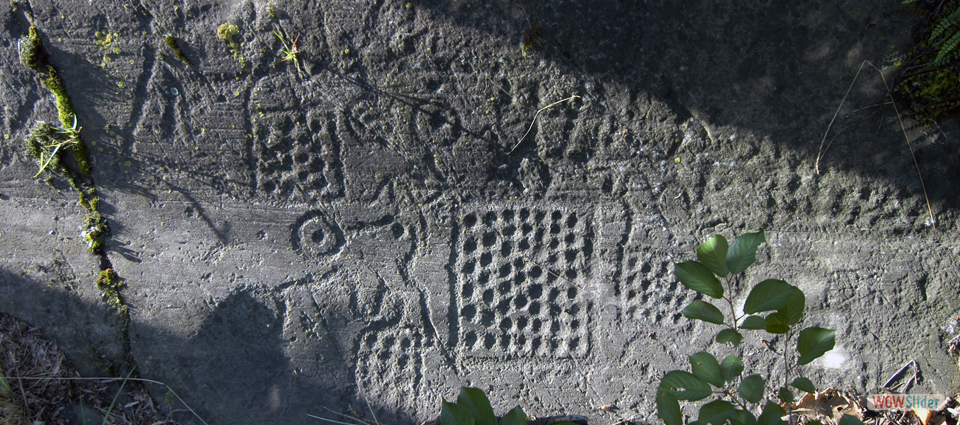 Bedolina