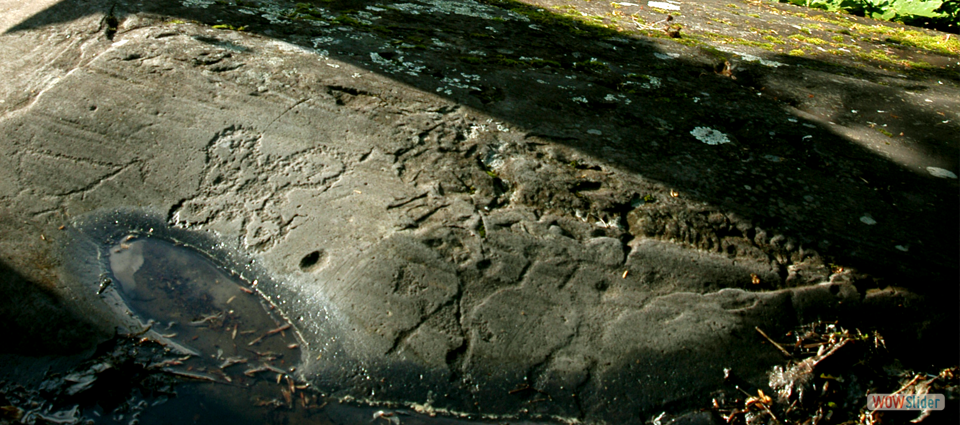 Zurla